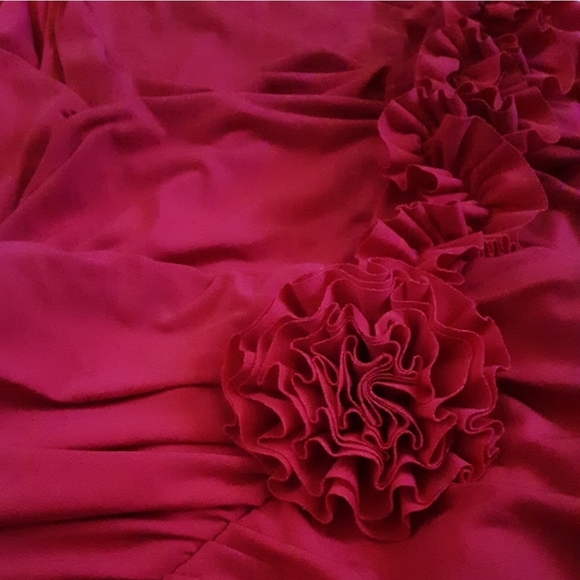 ENFOCUS Red Maxi Dress Size 20W - Picture 4 of 5